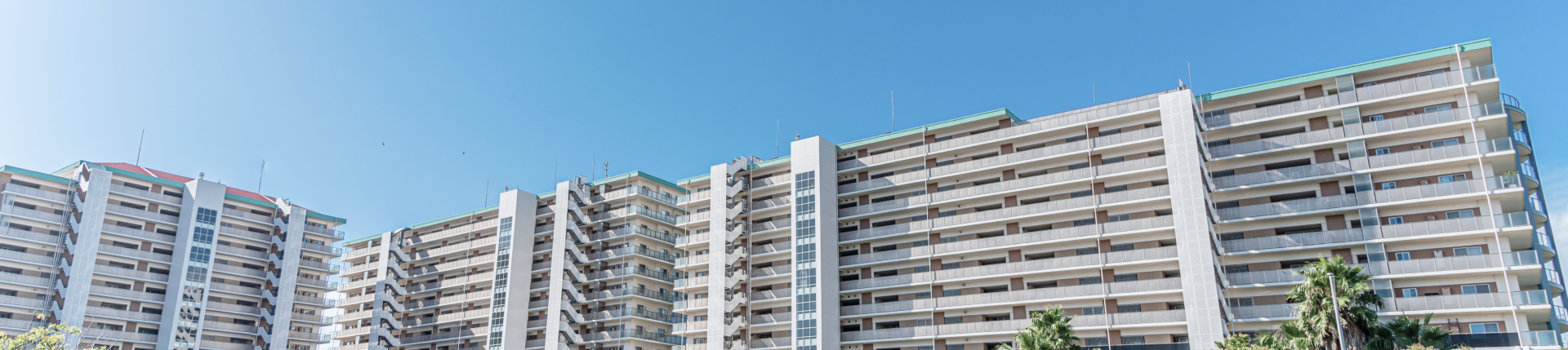 施行実績